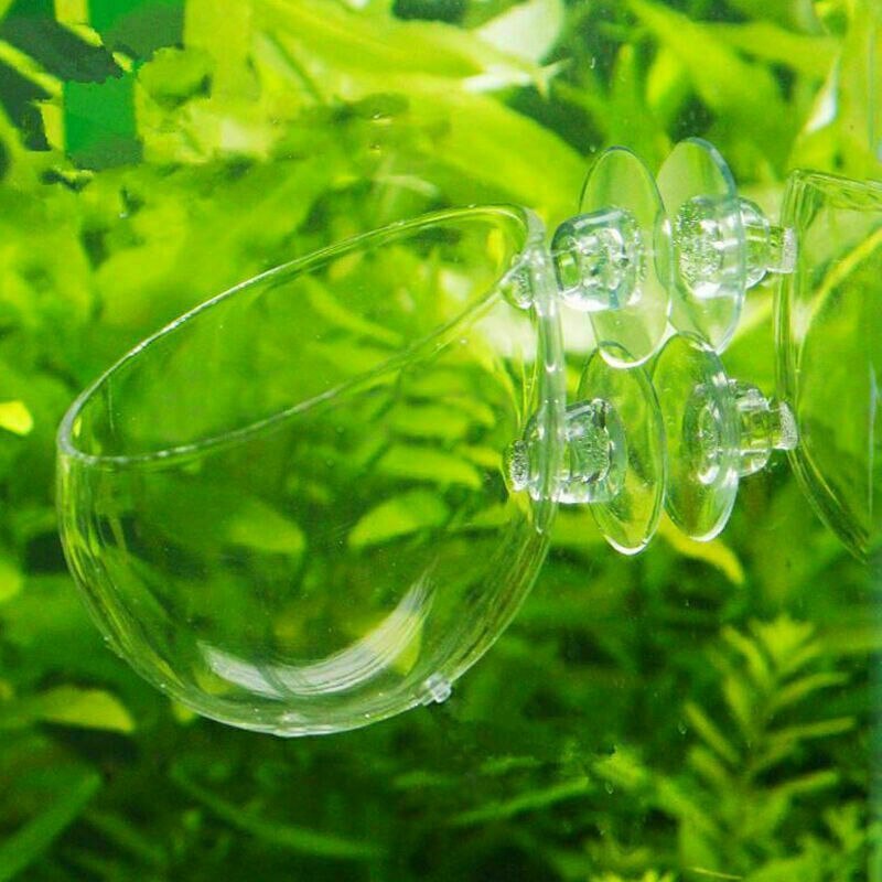 Mini Crystal Glas Waterplanten Fokken Landschap Cup wandmontage met Zuignap Thuis Aquarium Decoratie Zaailing Cup