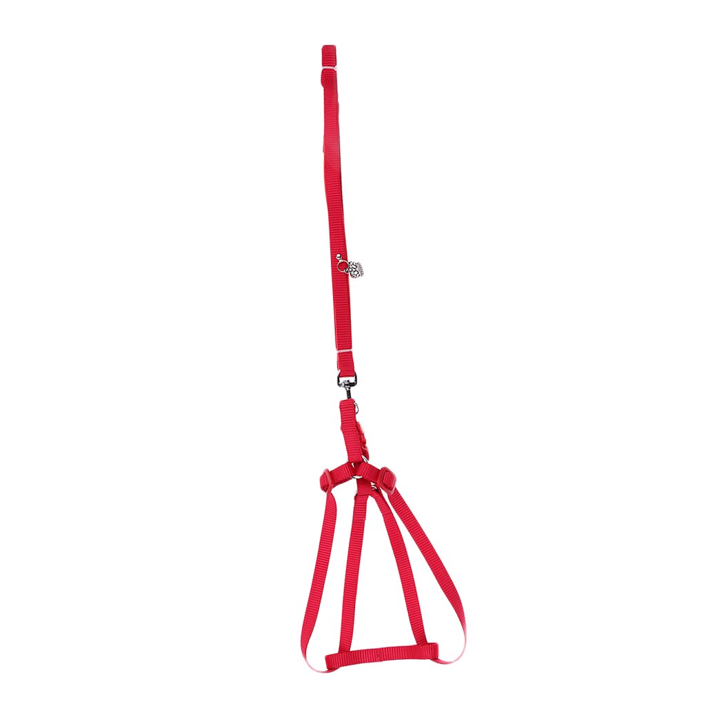 Reptile Lizard Gecko Bearded Dragon Harness And Leash Adjustable Light Anti-bite