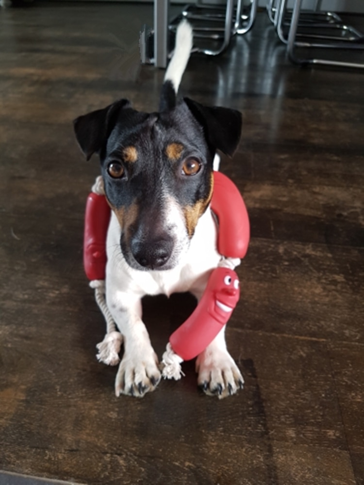 Rope Sausage Toy for Dogs