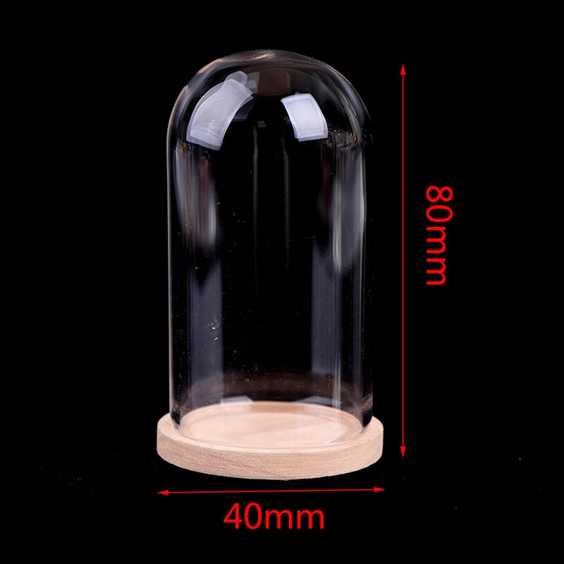 Vases de décoration en verre, présentoir de fleurs, Cloche, dôme, préservation immortelle + Base en bois, couvercle en verre de fleur éternelle: C
