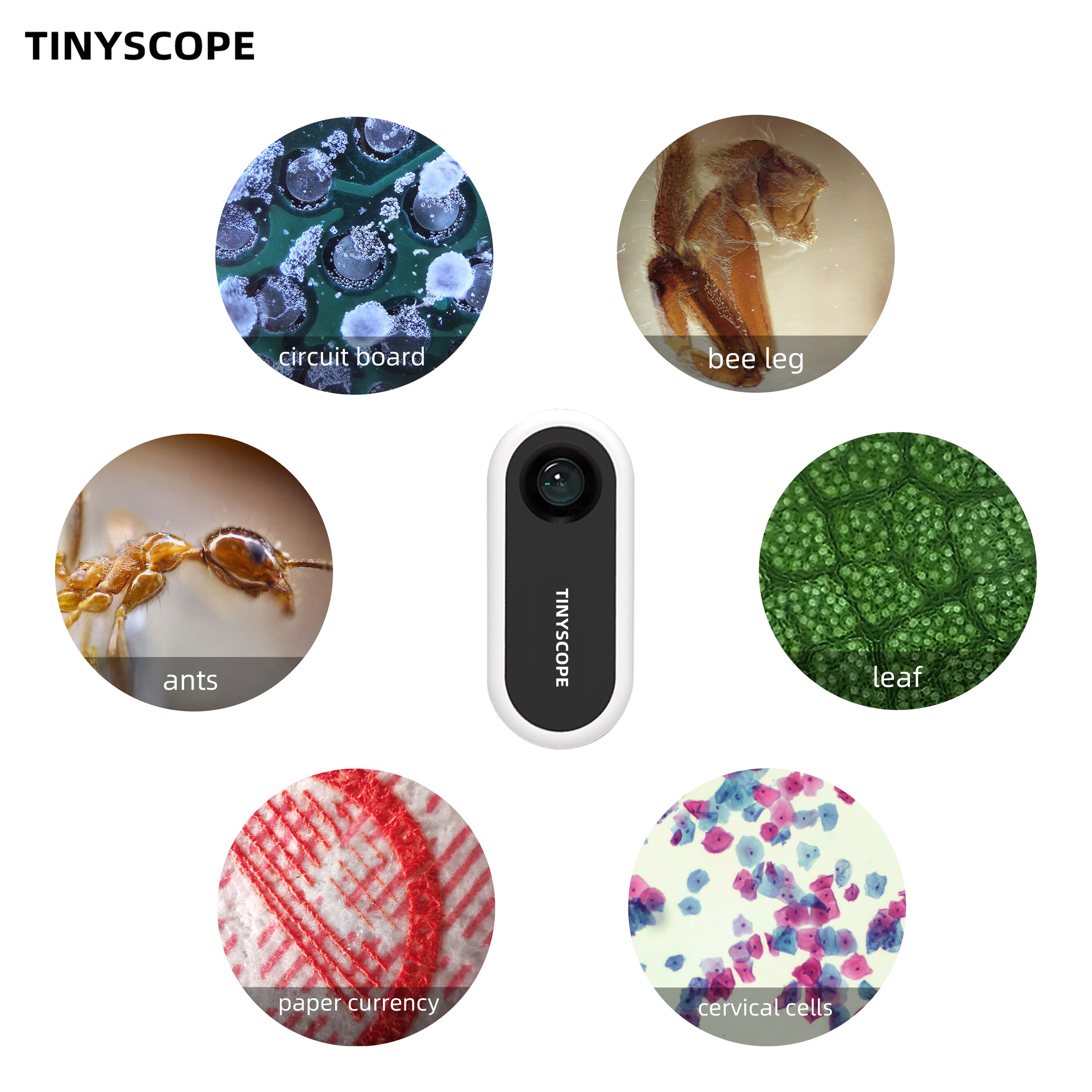 Tinyscope Pocket Mobiele Microscoop Lens 20x - 400x Vergroting Educatief Speelgoed Draagbare Microscoop Voor Alle Smartphone