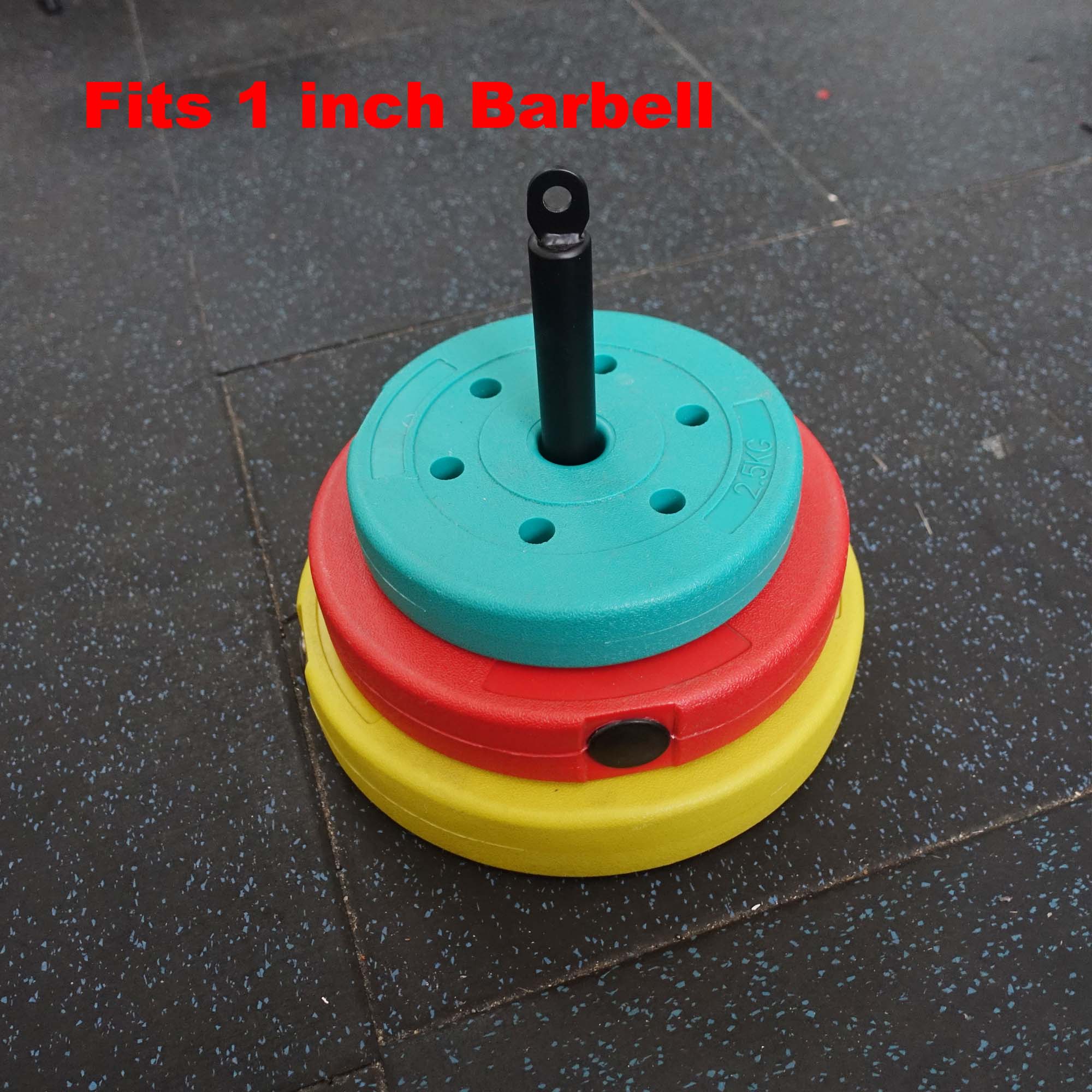 2in1 Heavy Duty Fitness Loading Pin Fit 2 inch 1 inch Barbell for Home Gym Pulley Attachment Weight Lifting Strength Training