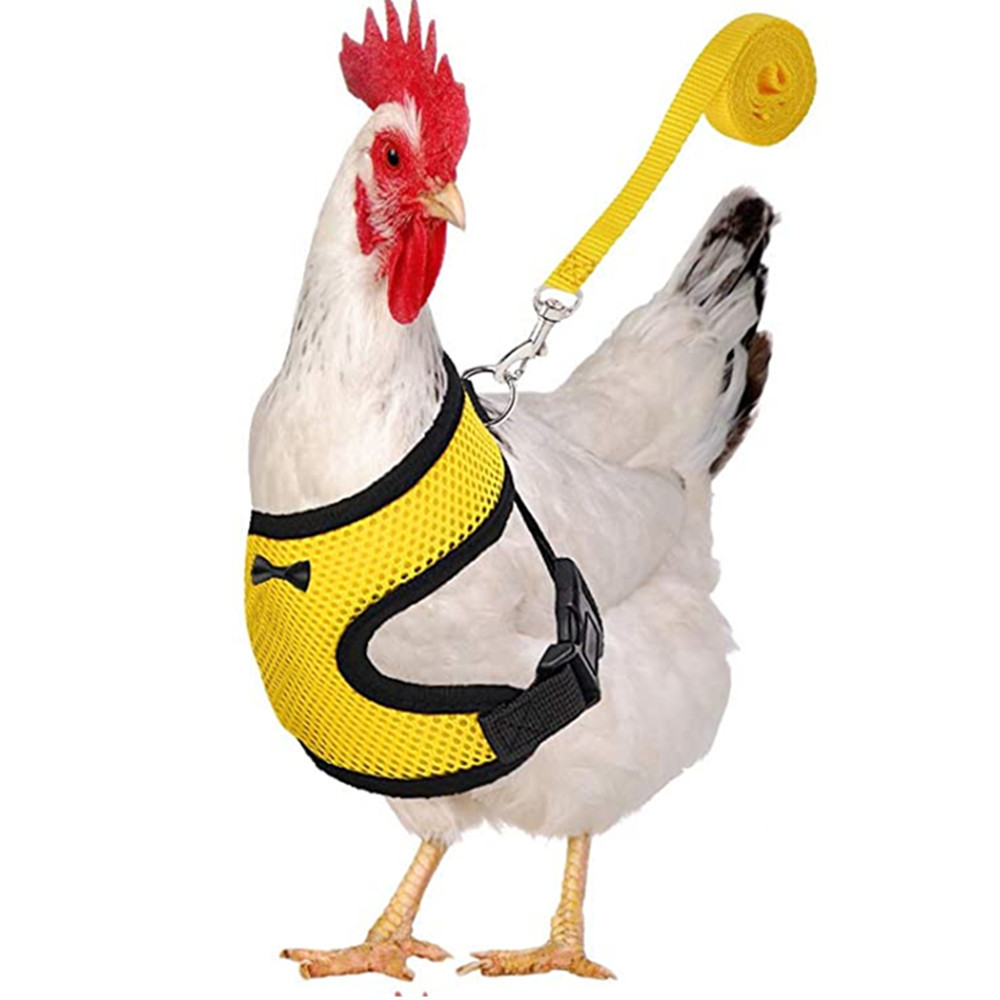 Gilet à la pour poulet et canard, ceinture pour poule, harnais pour animaux de compagnie, colliers assortis avec nœud, laisse confortable, respirant, fournitures pour volaille: XS / Yellow