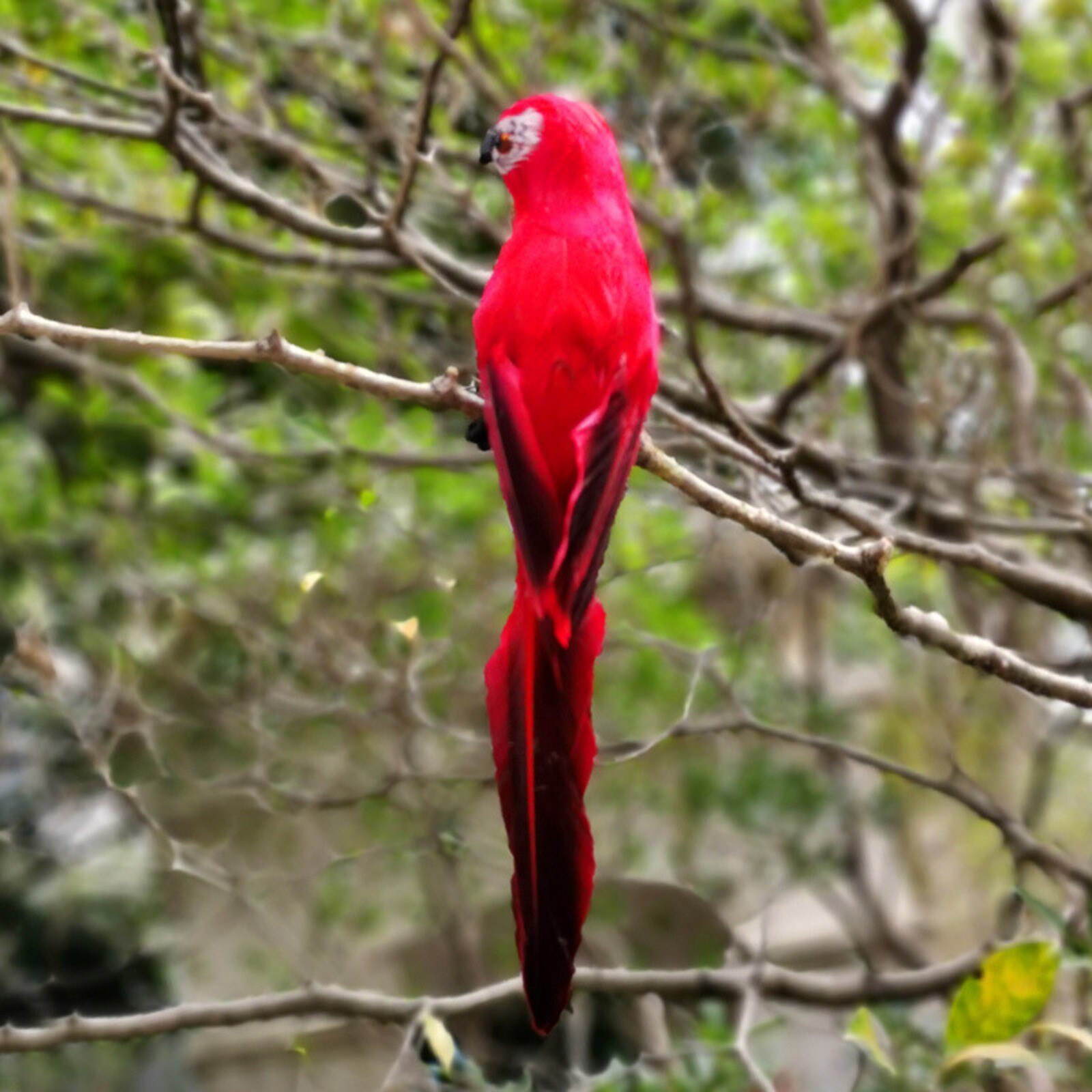 30 # Opknoping Papegaai Standbeeld In Binnenplaats Tuin Boom Interieur Decoratie Ornament Opknoping Sculptuur Decoratie Thuis Tuin Ambachtelijke