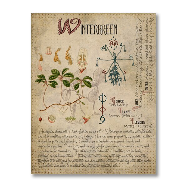 Book of Shadows Poster Pages of Herbs Prints Witchcraft Herbal Grimoire BOS Sheets Magic Painting Herbarium Decoration: Black / 42x30cm No Frame