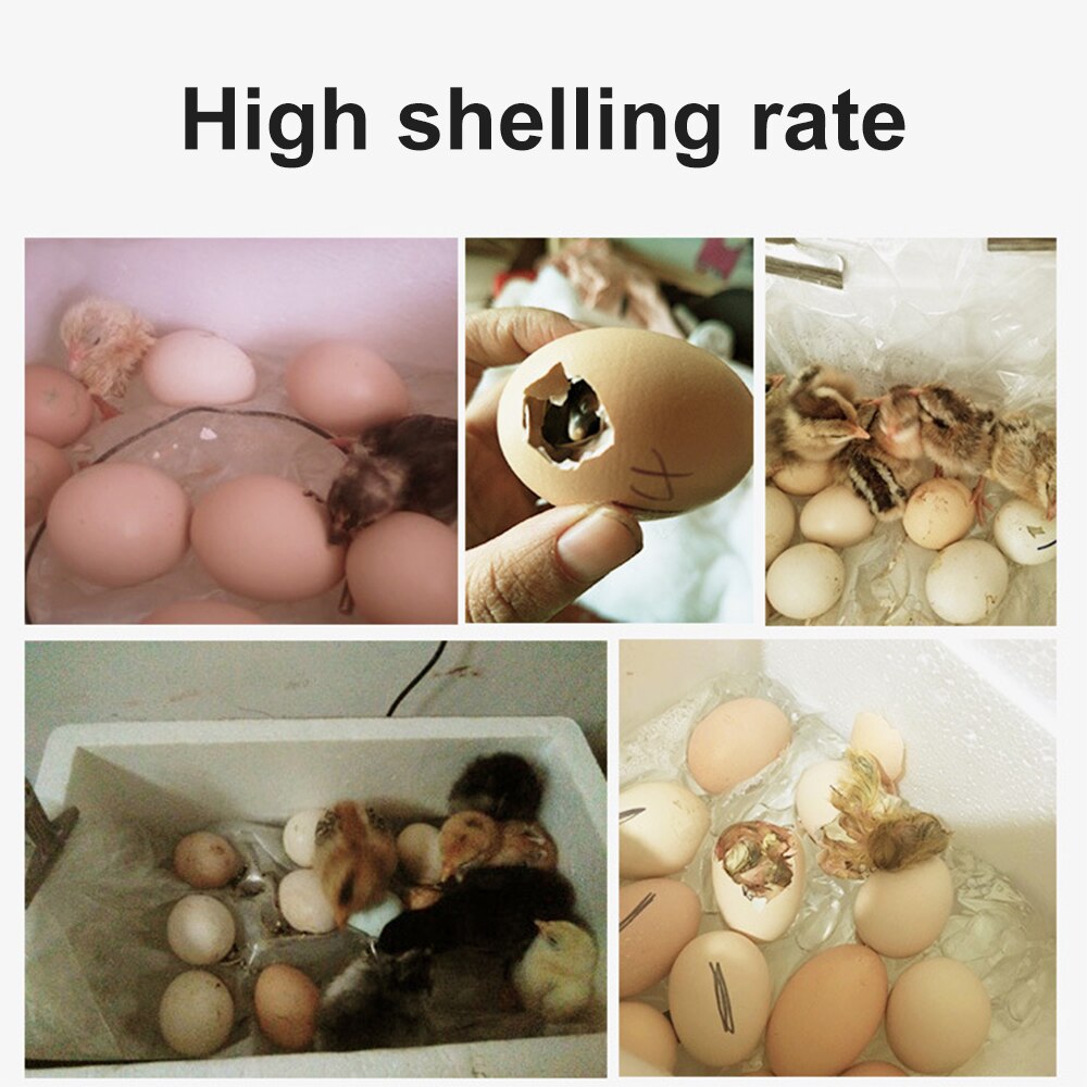 20-50 eggs household incubator small plastic bionic water bed incubator automatic temperature control egg incubator 220V US-plug