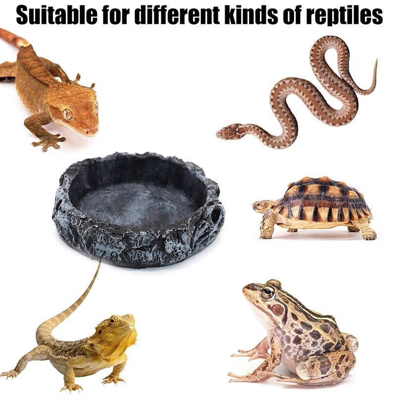 2 pakke krybdyr vand fad mad skål sten orm feeder til leopard gekko firben edderkop skorpion kameleon
