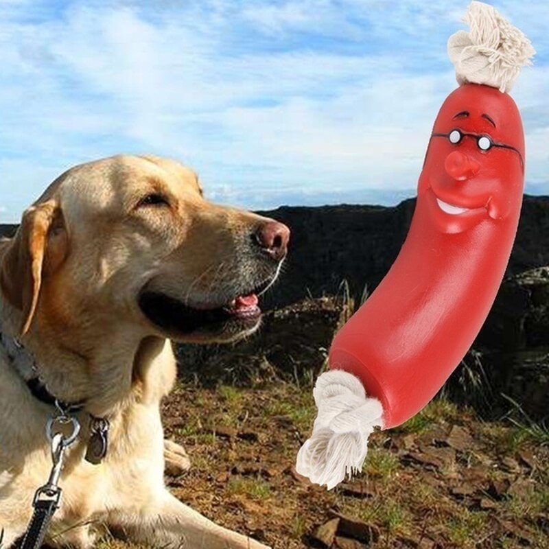Funny Dog Toy Sausage Squeaky Toy for Pets Dog Toy for Dog Pet Toy