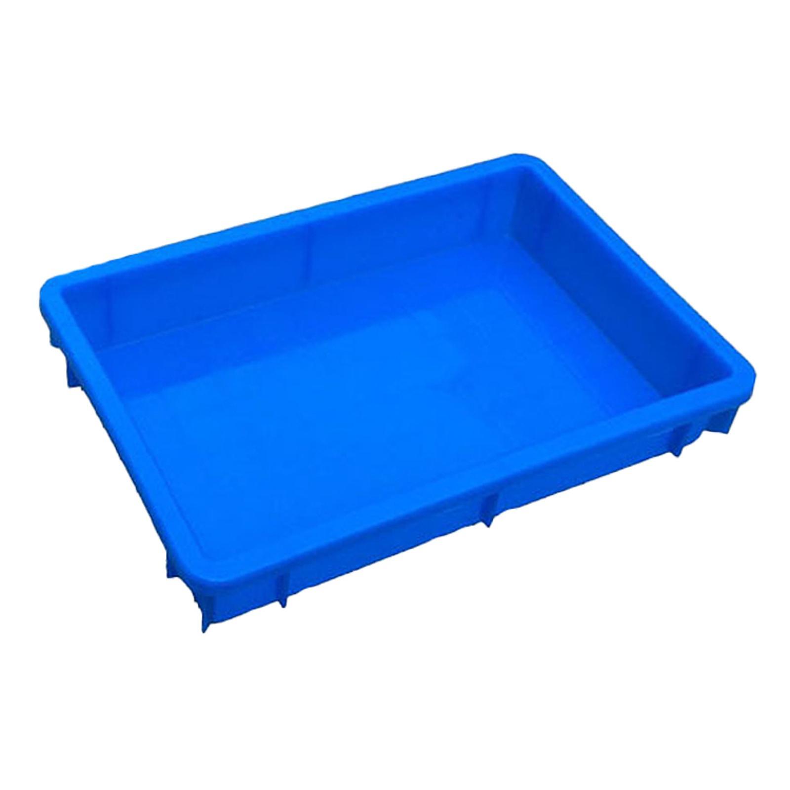 Reptile Feeding Box Hatching Container,Multifuncti... – Grandado