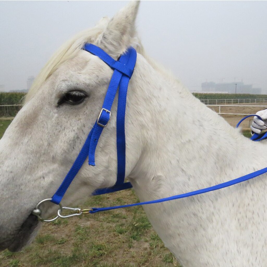 Aftagelig snaffle nylon bånd fleece indpakket svamp pude beskyttende hest udstyr hest hovedtøj tøjler: Blå s