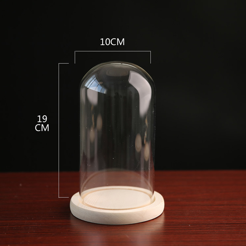 Klart glass display cloche bjelle ornamenter blomsterkrukke glassflaske med trebunn støvdeksel utstillingsboks udødelig blomsterkasse: 8