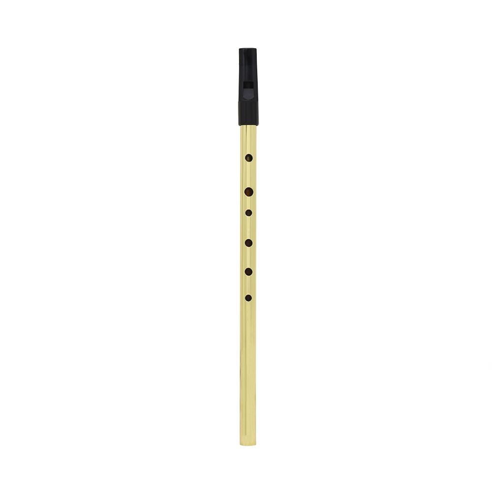 IRIN Irish Whistle Flute D Key Ireland Flute 6 Hole D Tone Gold Orff Musical Instrument Flute 30.3*1.5*1.2cm: Default Title