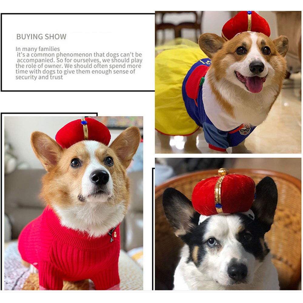 Couvre-chef de chat pour animaux de compagnie petit roi reine chapeau intéressant chiot couronne chapeau de déguisement nouvel an fête Cosplay accessoires