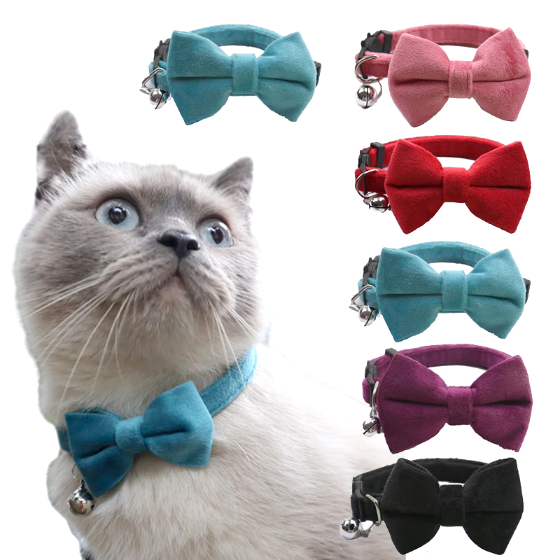 Samt-schleifen-katzenhalsband mit verstellbarem sicherheitsverschluss, einfarbiges katzenhalsband mit glöckchen, haustierzubehör