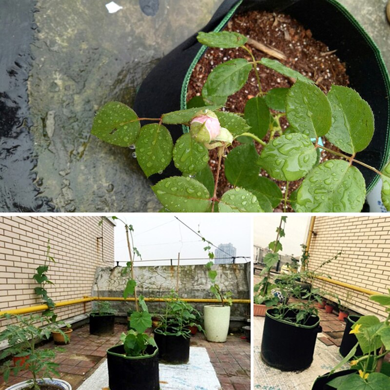 5 stuks vilten planten kweekzak groente bloem aardappel pot container tuin plantmand boerderij thuis kweekzakken 5/7/10 gallon