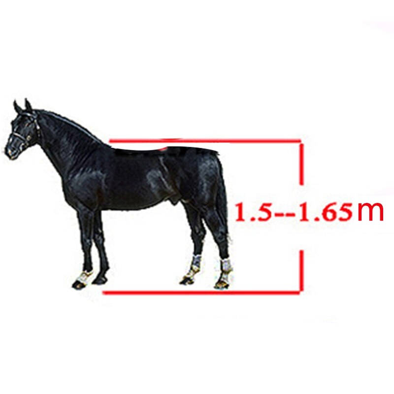 Casco De Equitación Con Ventilación - Talla 58-62 Cm, PC Exterior, Interior Absorbente, Hebilla Rápida