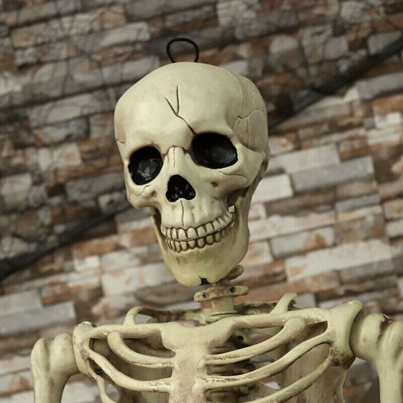 40cm halloween fuldt menneskeligt skelet kranium hjemsøgt hus joke prop dekoration kranium krop hjemsøgt hus joke prop dekoration