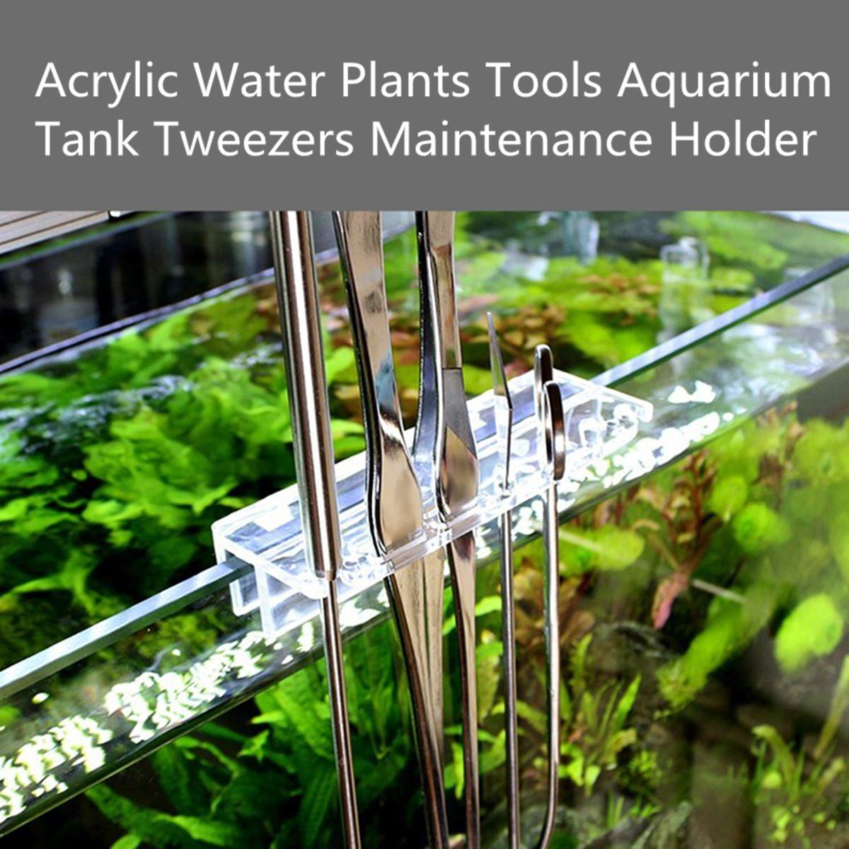 Akryl akvariefisk akvarium værktøjsholder vandplanter beskæringsværktøj holder til pincet saks værktøjsvedligeholdelsesstativ
