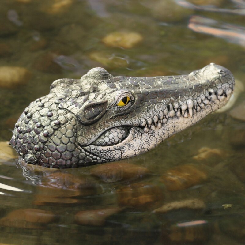 Crocodile flottant Crocodile tête jardin étang piscine réaliste eau caractéristiques décorations piscine ornement flottant résine tête