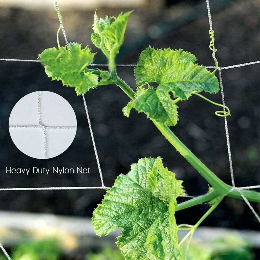 Garden Nylon Plant Grow Fence Net Trellis Netting Support Climbing Creeper Strong Support Easy to Work 1.67x5m PM0411