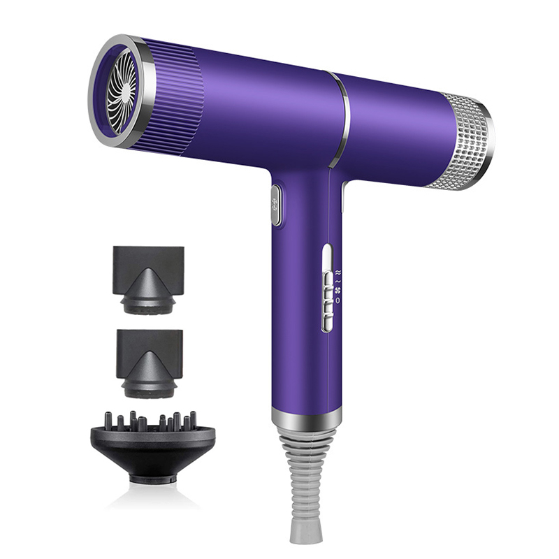 Professionele Föhn Infrarood Negatieve Ionische Föhn Warme & Koude Wind Salon Hair Styler Tool Haar Elektrische Droger Blower: Paars / VS