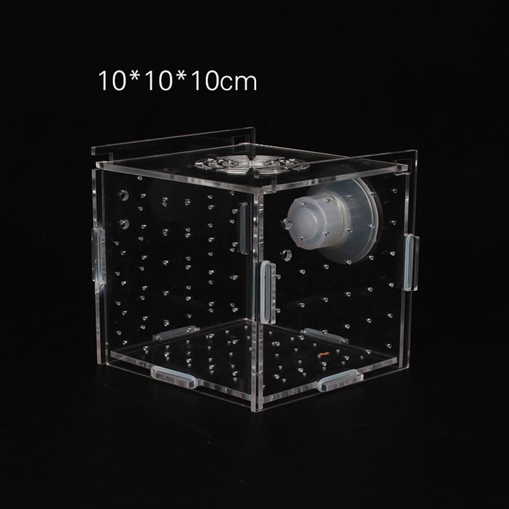 Single Grid Breeding Box Incubator Isolation Hairtail Nursery House Aquarium Accessaries: S 10x10x10