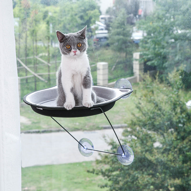 Saugnapf Katze Hängematte Hängen Glas Katze Nest Vier Jahreszeiten Universal Fenster Sill Nest Pet Liefert Saug Wand Raum Kapsel