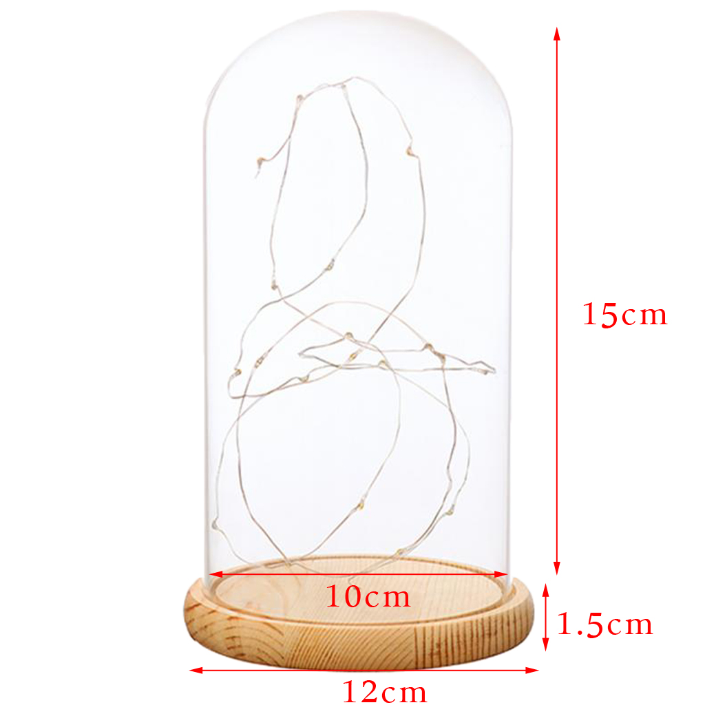 Luces LED con batería, Base de madera, campana de cristal transparente, decoración de mesa, planta, florero, contenedor, paisaje DIY en miniatura: Amarillo claro