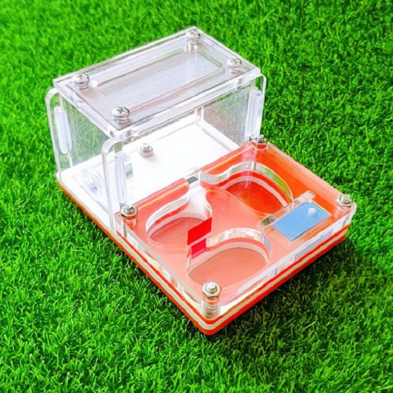 Mini Ant Farm Acrylic Ant Nest Small Pet Feeding Box Insect Supplies 9x7x4.5cm: FA-003