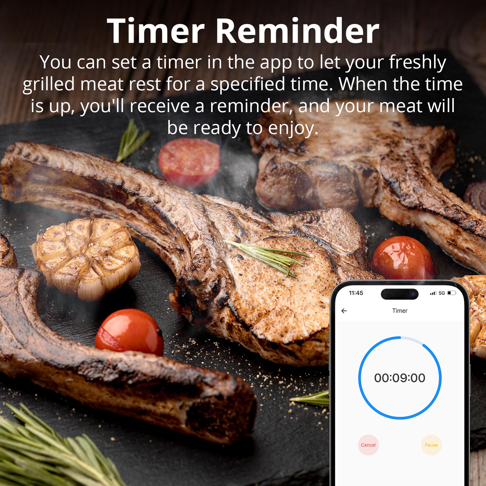 SONOFF BMT01 Termometro per carne per barbecue wireless Grafico della temperatura in tempo reale Promemoria timer Monitoraggio remoto Avvisi della temperatura tramite eWeLink