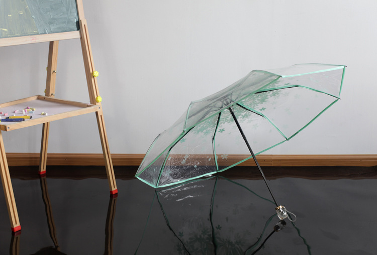 Anpassung von Prinzessin Regenschirm Werbung Regenschirm mit rean Klapp Apollo Transparent Arch und Drei Falten Regenschirm: Burgunder