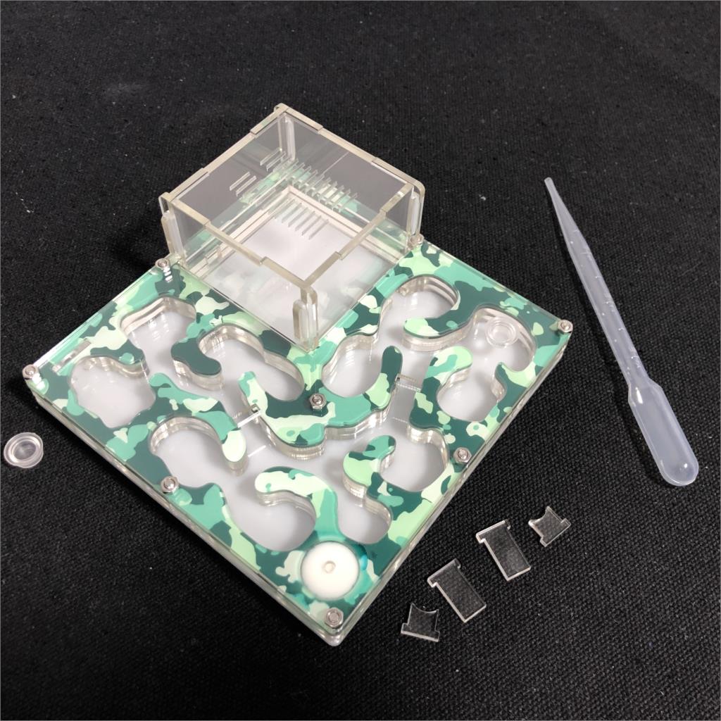 Camouflage apiculture colony big formicarium Ant Nest ,Ant Farm Acrylic,hormiguero Insect ants house Ecological Workshop