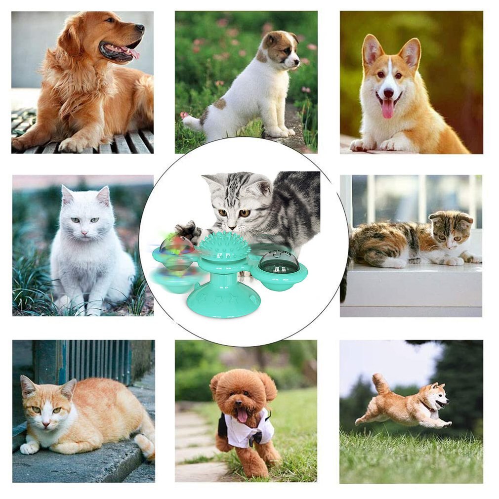 Windmill Toys for Cats Puzzle Whirling Cat Game Turntable Cat Toys Teasing Interactive Toys with Massage Itchy Tickle