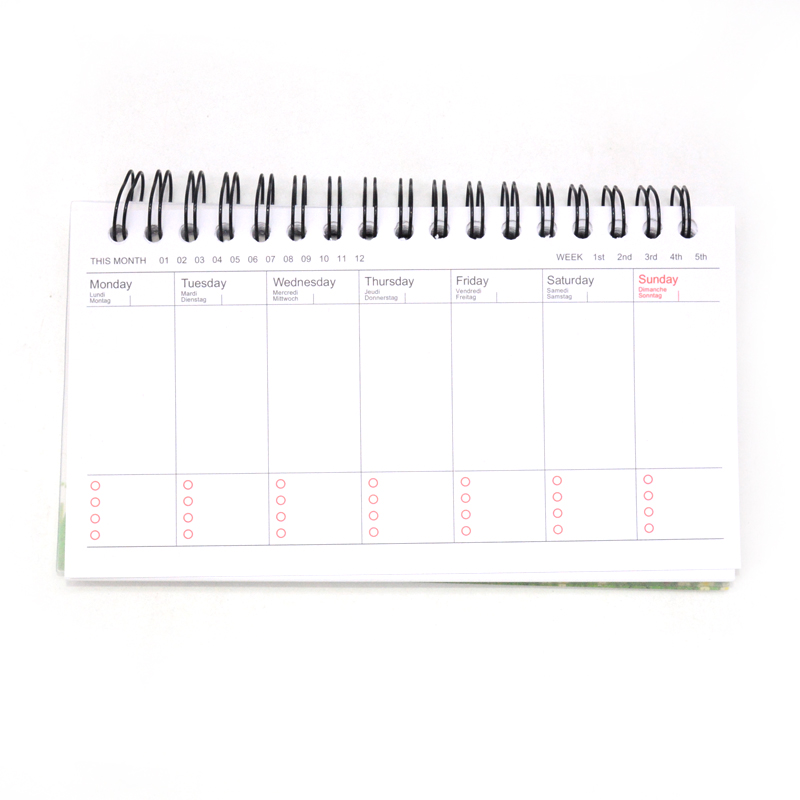 Wekelijkse planner notebook planner agenda schattig dagboek briefpapier cuadernos y libretas libreta flamingo parijs balpen penna
