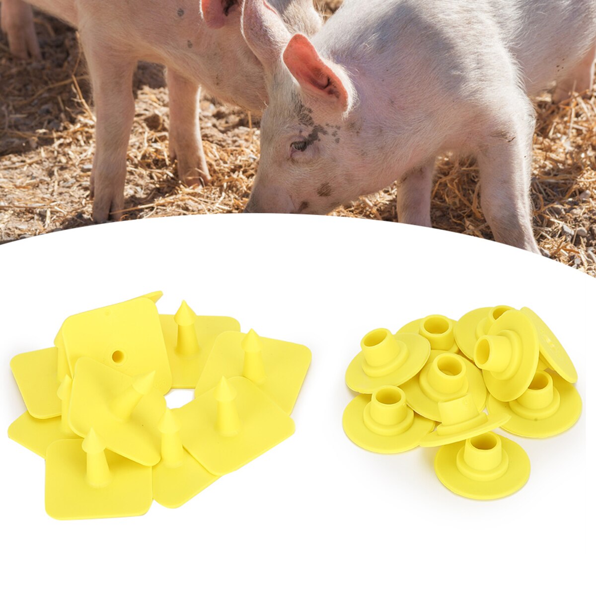 Pig Ear Tag Livestock Blank Ear Tags Farm Animal Management Identification Tag Set