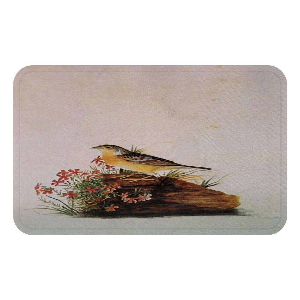 Aigle oiseaux Cool tapis tapis de bain décoratif anti-dérapant tapis chambre voiture sol Bar tapis porte décor à la maison: Rouge / 500mmx800mm