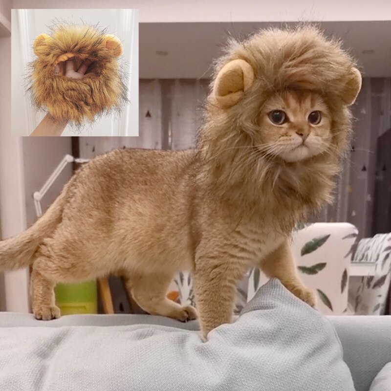 Perruque Lion crinière et chat mignon, chapeau pour chiens et chat, accessoires de décoration pour animaux de compagnie, bonnet fantaisie, fournitures pour animaux de compagnie