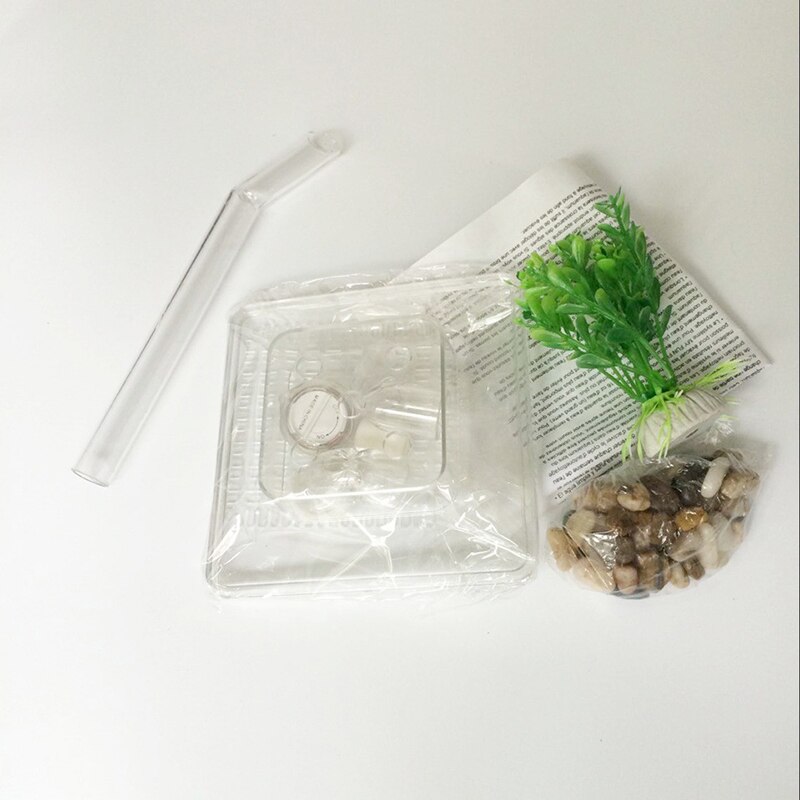 TV Transparent My Fun Fish Self Cleaning Tank Complete Aquarium Setup Volume 1L Aquarium Setup Lovely Cute