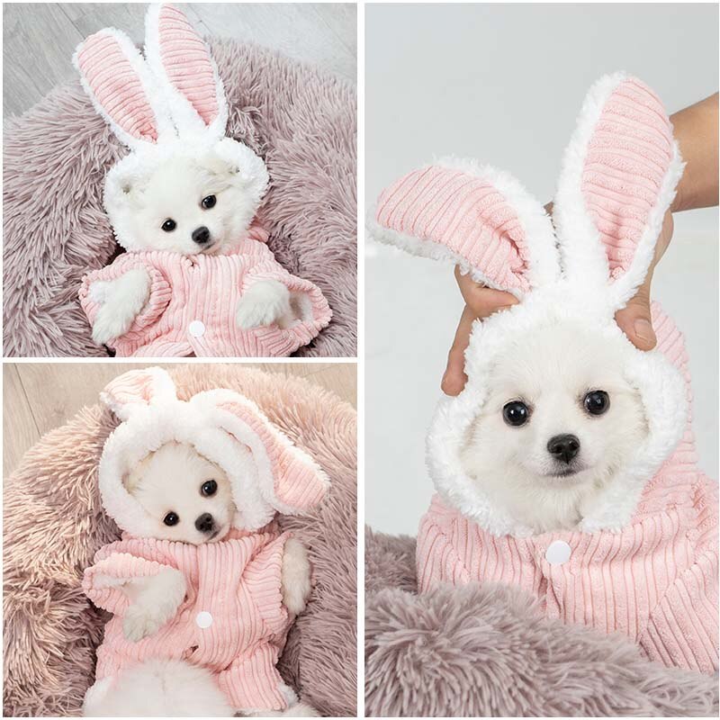 Automne et hiver oreilles de lapin mignon hiver épais pull Teddy Hiromi Bichon vêtements petit chien vêtements