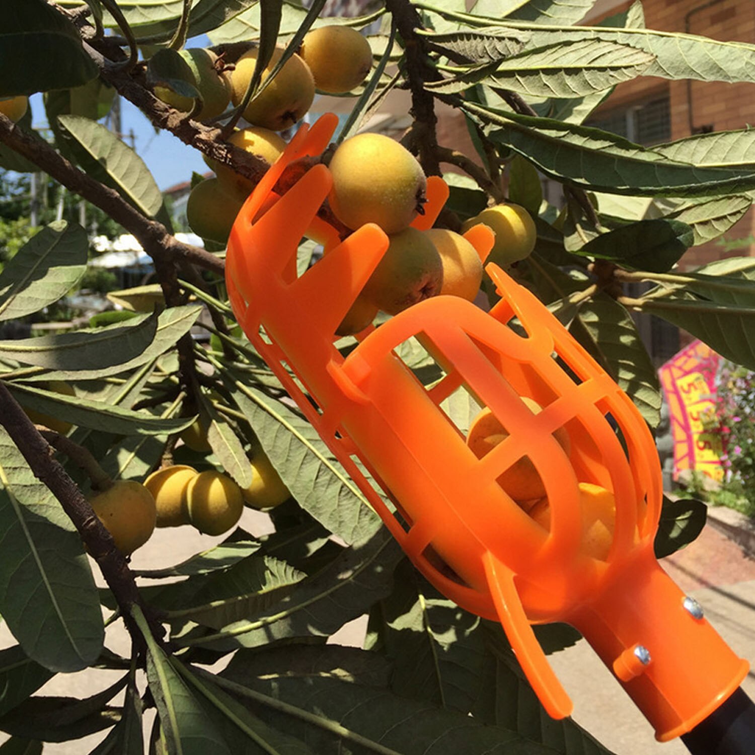ANENG Plastic Fruit Picker Basket Head Catcher Gardening Tool for Harvest Picking Apple Mango Pear Peach Small Fruits