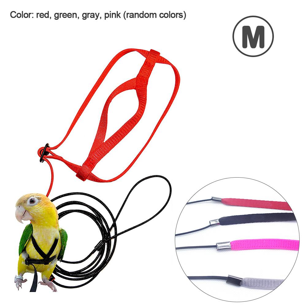 Tren de aves para mascotas, Correa colorida para loros y pájaros, arnés ajustable para exteriores, cuerda de entrenamiento, banda cruzada voladora, productos para mascotas, suministros para aves: M