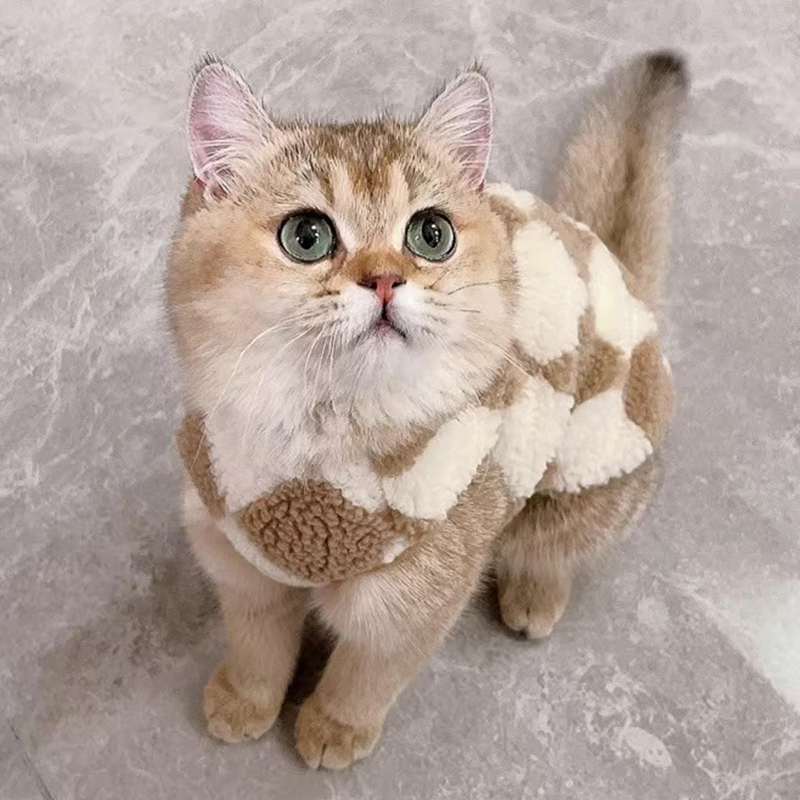 Suéter de gato Sphynx a la , cárdigan para gatos, Gotas, ropa cálida de lana para mascotas, chaquetas para perros Garfield Katten, ropa para mascotas