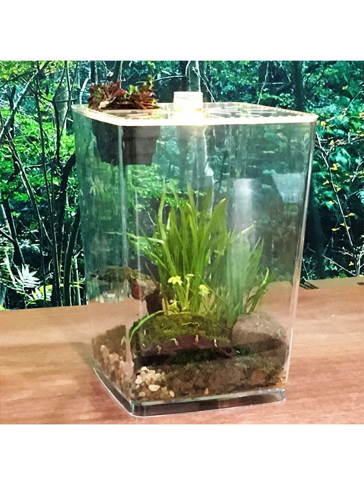 Terrarium For Reptiles Transparent Plastic Reptile Breeding Box Clear Acrylic Reptile Terrarium Feeding Box For Geckos Spiders