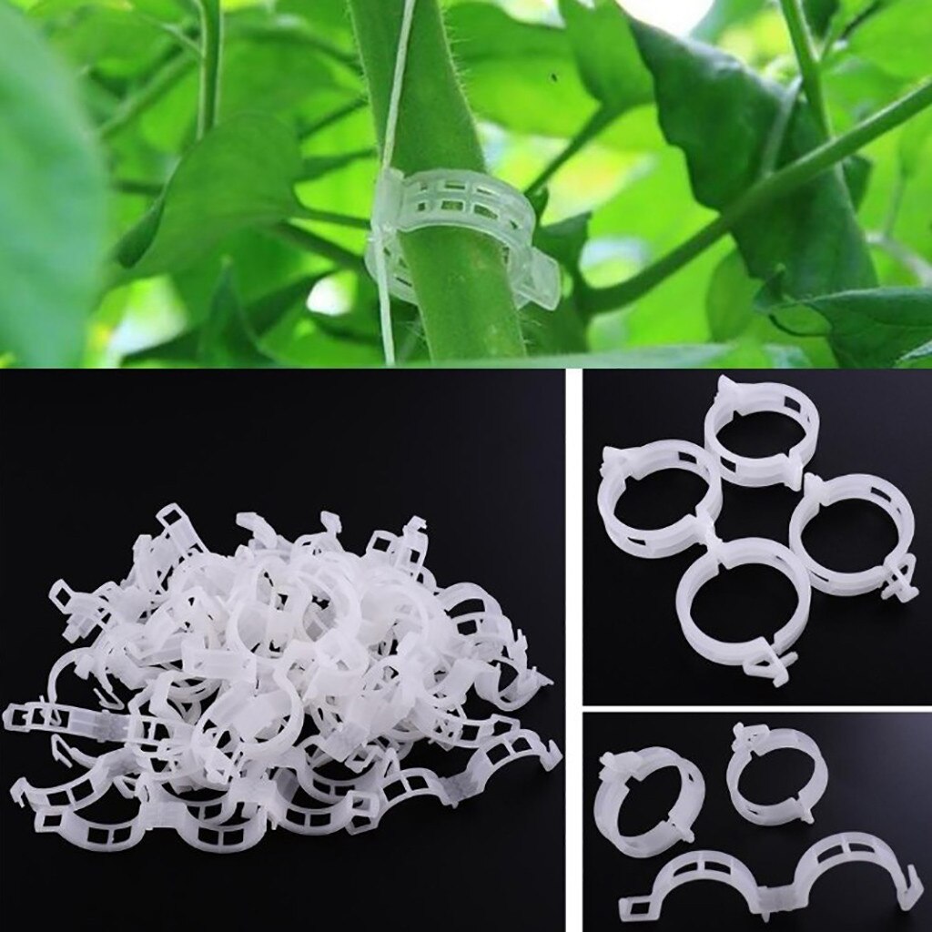 100pcs Artificial Plant Clip Hami Melon Clip Plastic Vine Tether Clip Vine Clip Bonsai Flower Cucumber Grape Rattan Supports