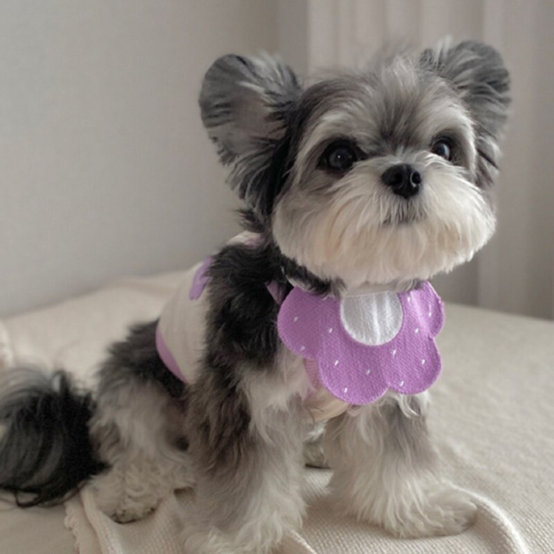 Collar con forma de flor para mascotas, Bandanas Kawaii para perros y gatos, Baberos para mascotas, bufanda, accesorios para cachorros y Husky, pechera de punto para gatos y perros: purple
