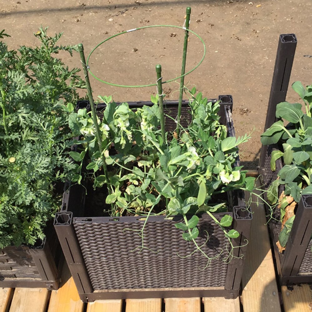 45cm/60cm Flower Plants Clematis Climbing Rack Support Shelf House Garden Supplies