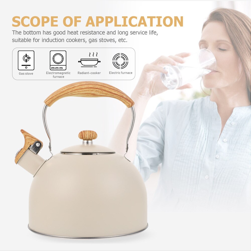 Bouilloire sifflante en acier inoxydable, 2,5 l, à fond plat, pour les cuisinières à gaz à Induction, ustensiles de cuisine