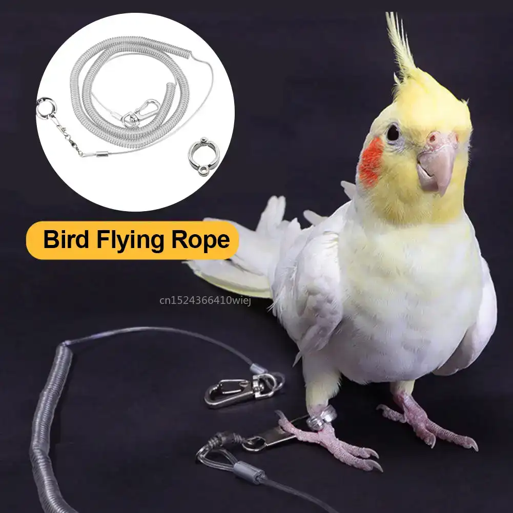 3/6 m flexibel Vogelleine mit Beinring, ultraleichtes Papageien-Vogelgeschirr, Anti-Biss-Fuß-Flugsicherheits-Trainingsseil für Höhle Außenbereich für Ara
