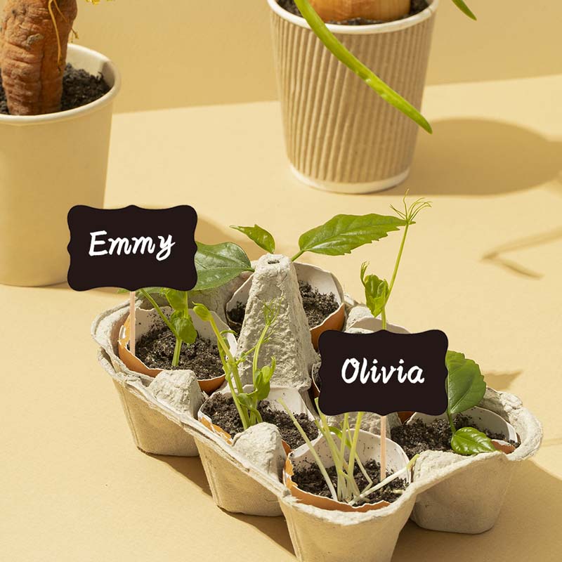 Etiquetas cuadradas pequeñas de madera para plantas, marcadores de madera, flores, verduras, plantas, macetas de jardín, etiquetas de bambú, letreros impermeables, 10 unids/set