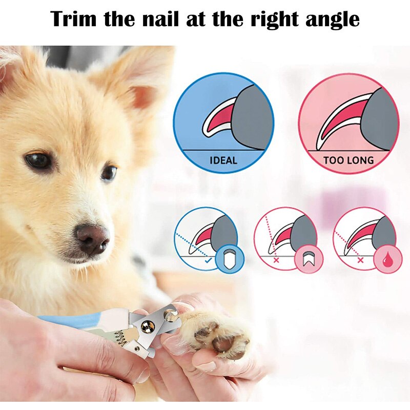 Coupe-ongles pour animaux de compagnie, avec râpe, en acier inoxydable, pour chiens et chats, nettoyage et entretien des ongles
